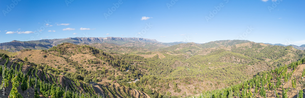 Panorama of the Comarca Priorat is a famous wine-growing area where the prestigious wine of the Priorat and Montsant is produced. Wine has been cultivated here since the 12th century
