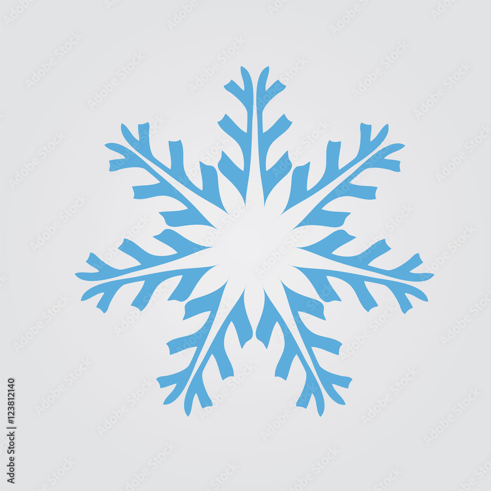 Snowflake on a grey background.