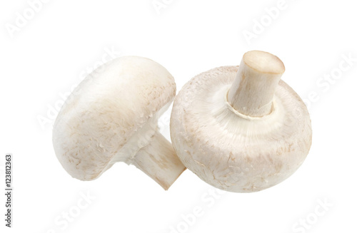 Mushroom champignon isolated on white background, with clipping path