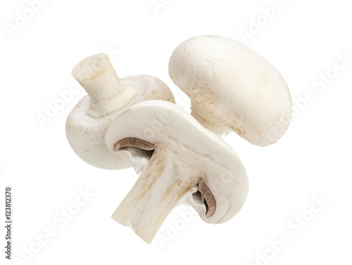 Mushroom champignon isolated on white background, with clipping path