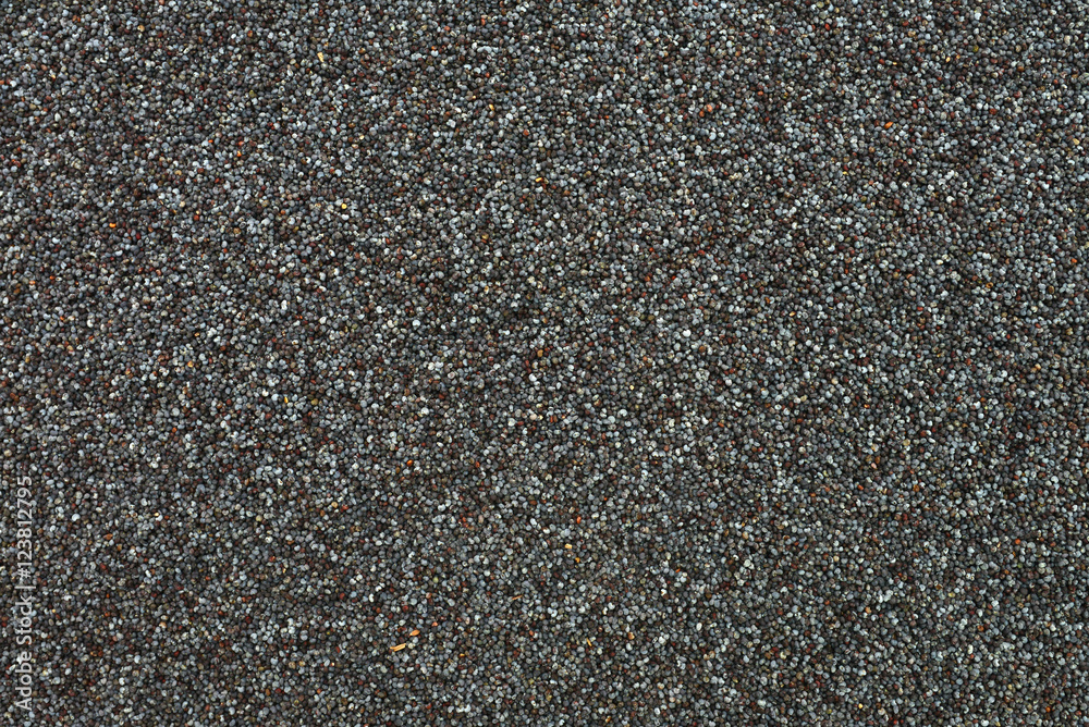 Dry poppy seeds texture Dry poppy seeds texture