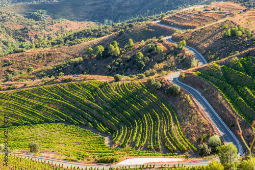 Road along the Priorat vineyards. This is a famous wine-growing area, where the prestigious Priorat and Montsant wines are produced. Wine has been grown here since the 12th century.