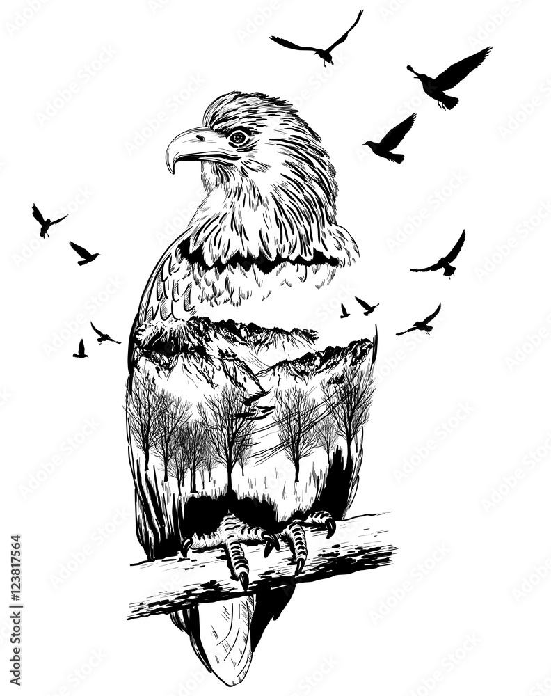 Obraz premium Vector Double exposure, eagle, wildlife concept
