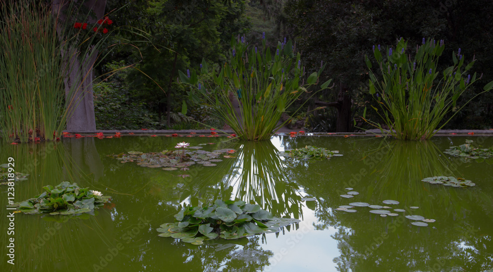 Ogród botaniczny na wyspie Teneryfa