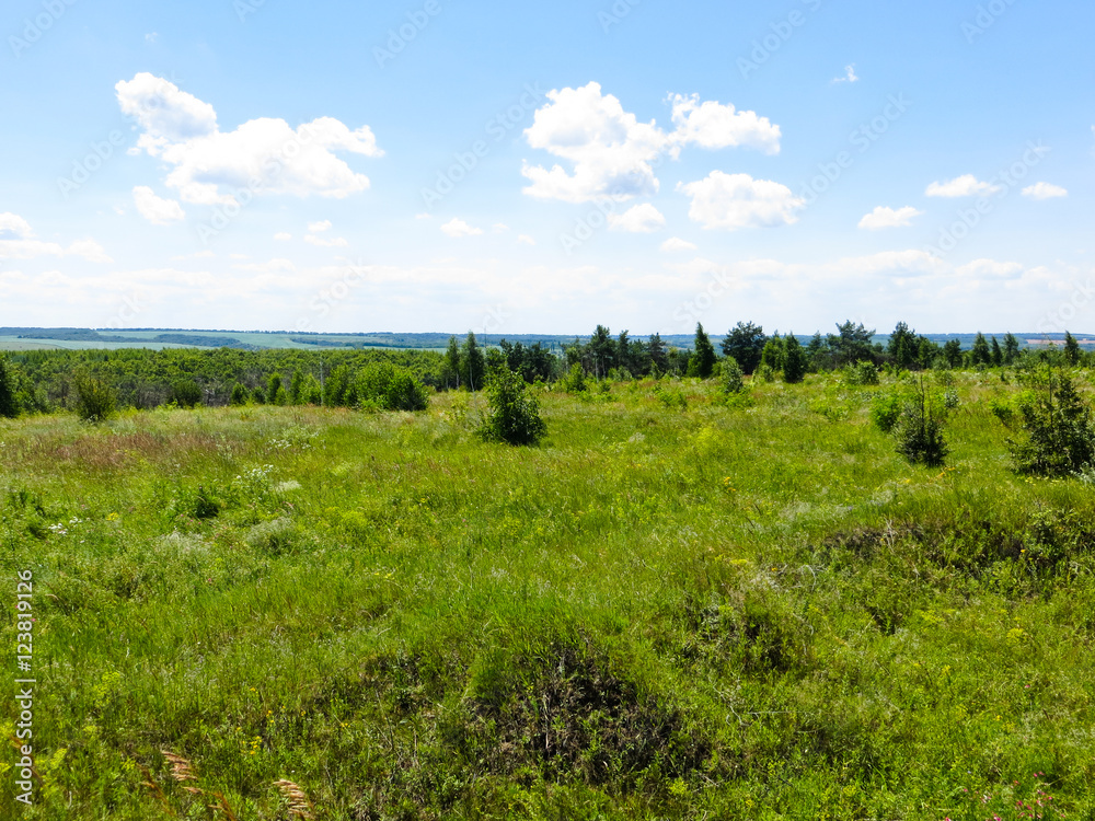 Wide green meadow