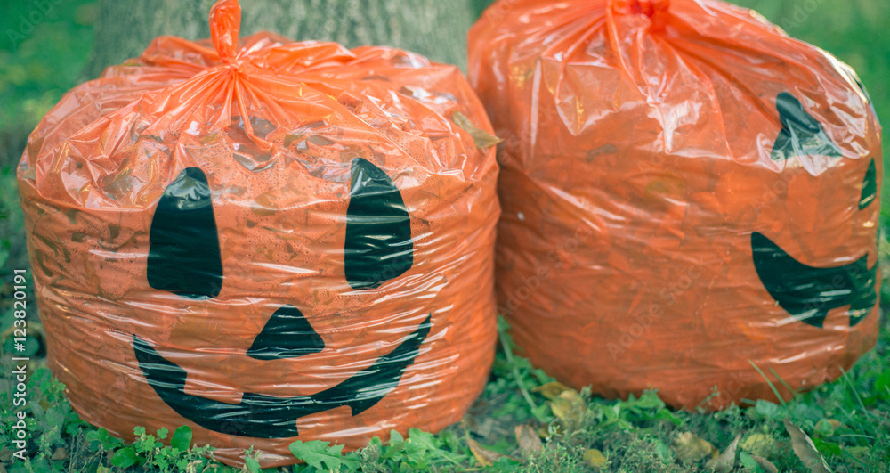 Fotografie Leafbag Pumpkins