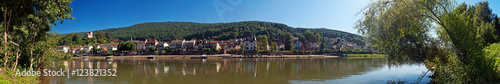 Flussufer am Neckar bei Neckarsteinach, Hessen