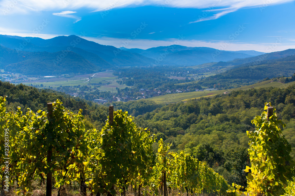 Obraz premium Blick ins Munstertal