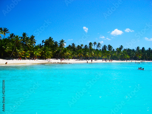 tropical island with coconut palms in the azure ocean