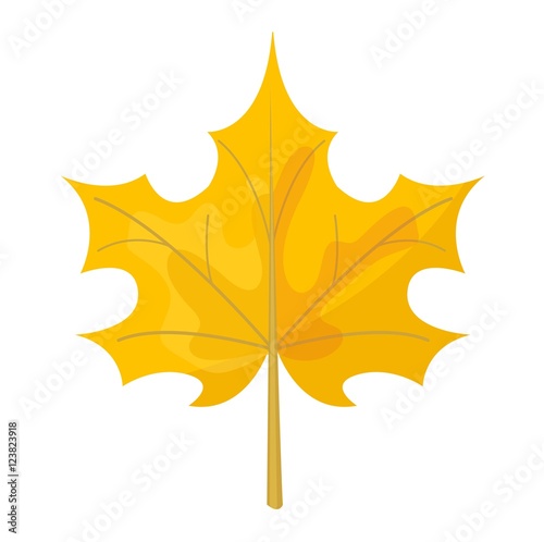 autumn leaf vector illustration.