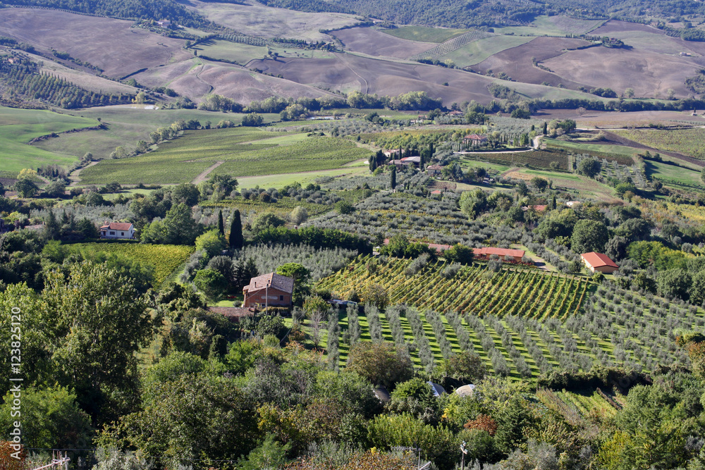 PANORAMA TOSCANO DALLA CITTA' DI MONTEPULCIANO