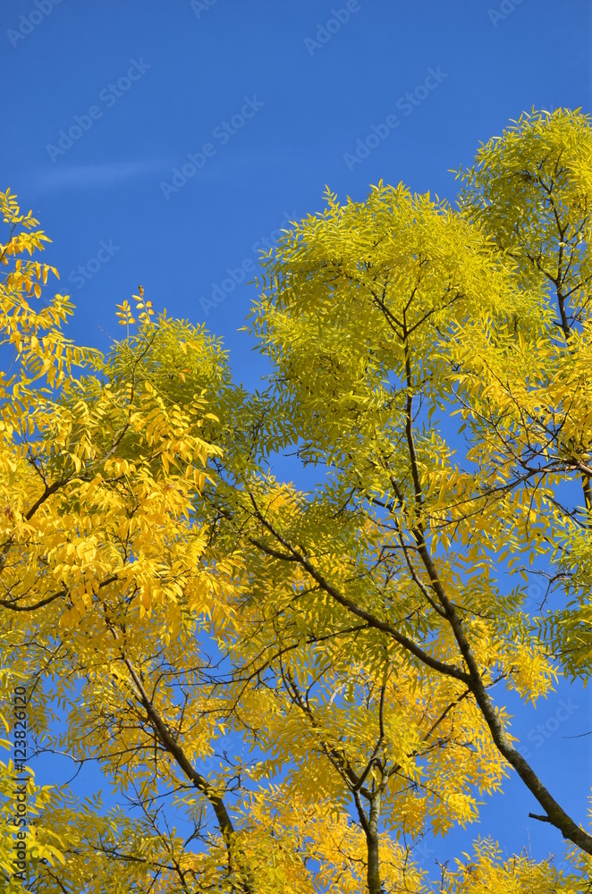Herbst Herbst