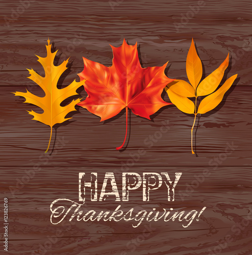 Thanksgiving Day background with autumn leaves. Vector illustration.