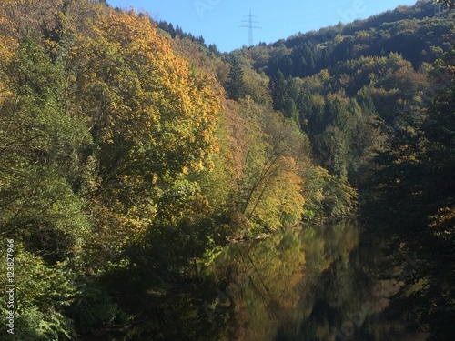 Mischwald am Fluss im Herbst