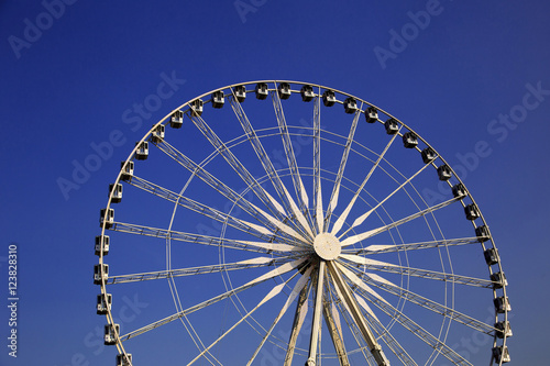 Paris eye