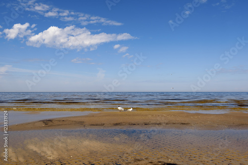 Baltic seashore