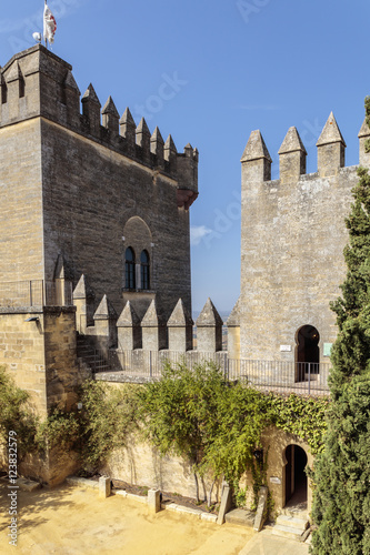 Castillo Almoldóvar del Rio photo