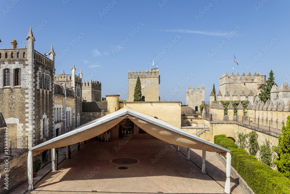 Obraz premium Castillo Almoldóvar del Rio