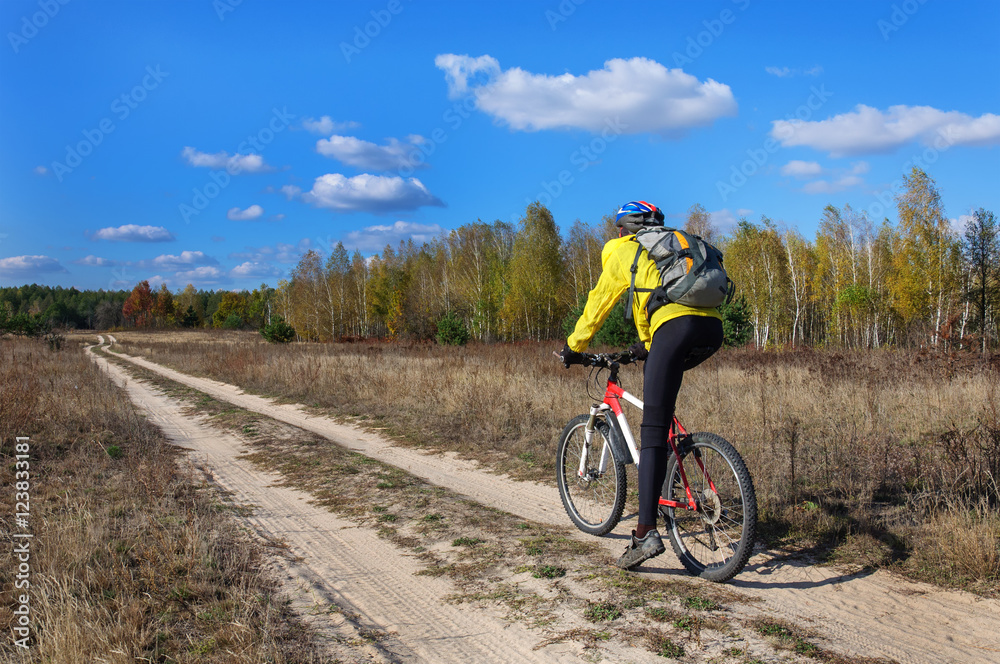 Cyclist practicing mountain bike on a forest trail.