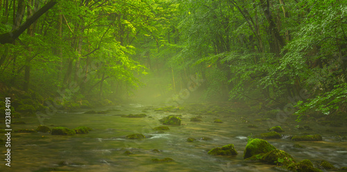 Fototapeta Naklejka Na Ścianę i Meble -  Misty wild river and magic light in the forest in spring
