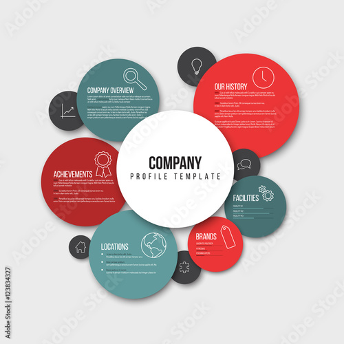Vector Company infographic overview design template
