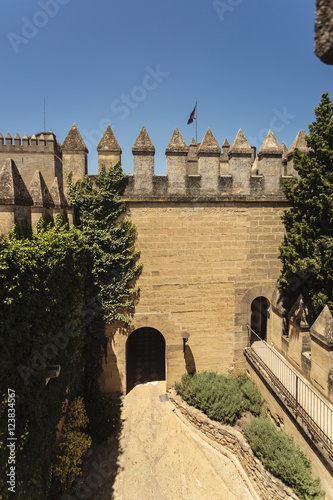 Castillo Almoldóvar del Rio photo