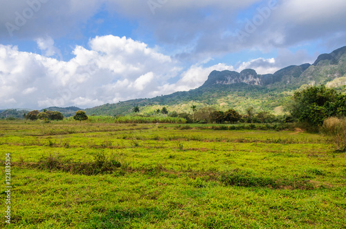 Green field in Vinales Valley, Cuba
