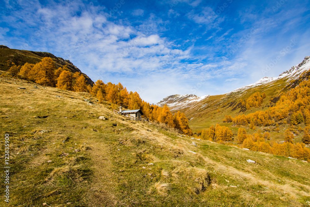 alpine hut alpine hut