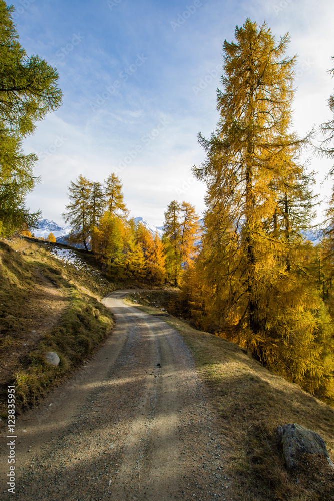 Fototapeta premium mountain road