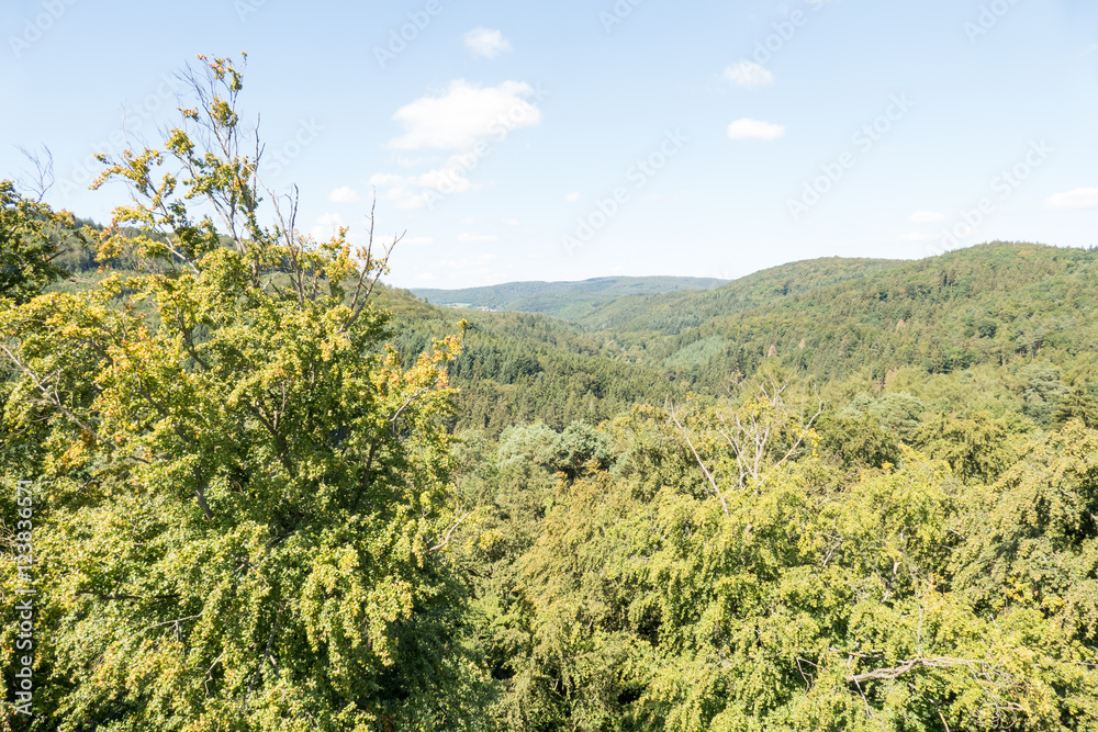 Fototapeta premium Landscape.