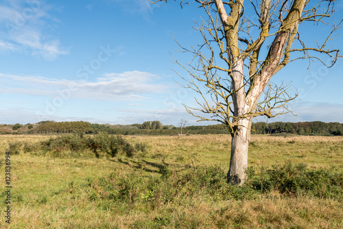 Landscape. photo