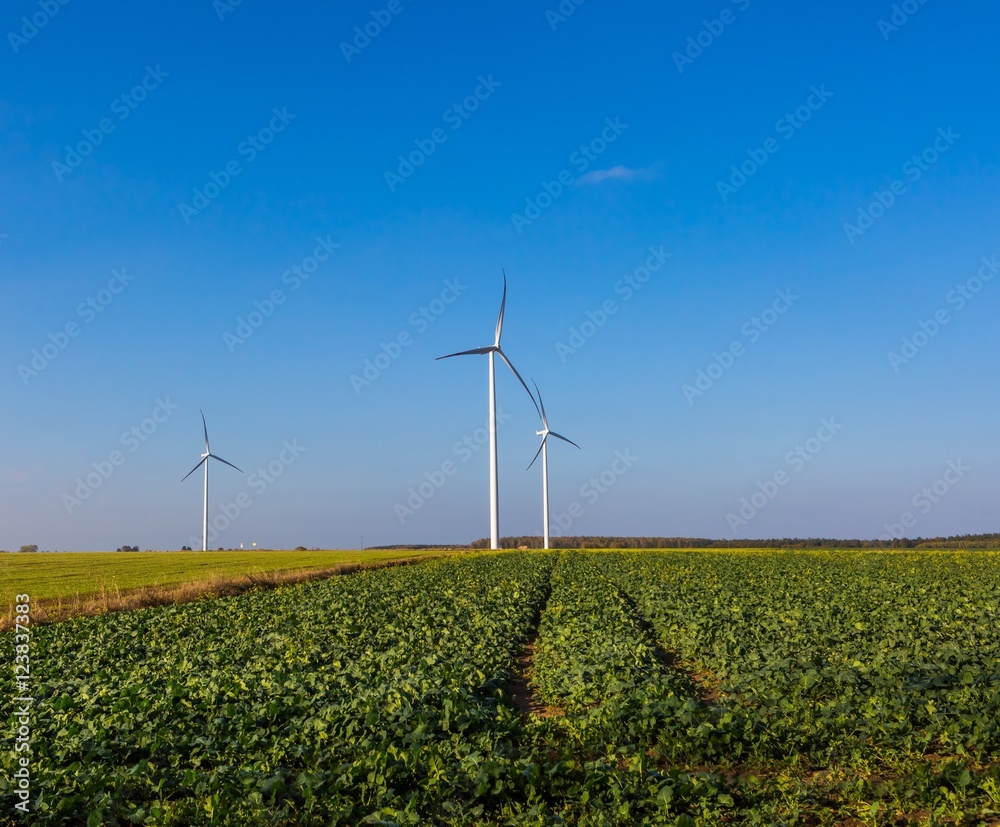 Spring or autumnal landscape with windmills on fields