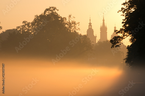 Misty Blonia meadow in Krakow, Poland, with St Mary's church and Town Hall towers in the background.