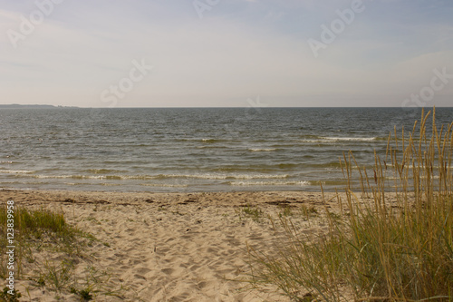 Baltic sea  summer  sun  light breeze. Wild beach.