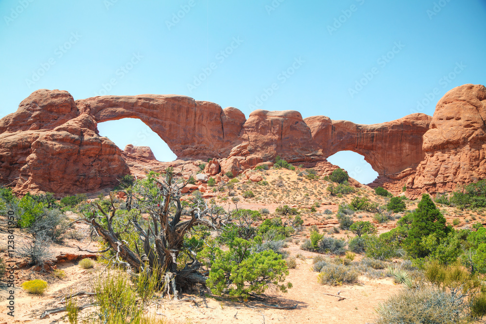 South and North Window Arches