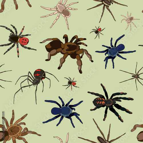 Spiders vector set pattern
