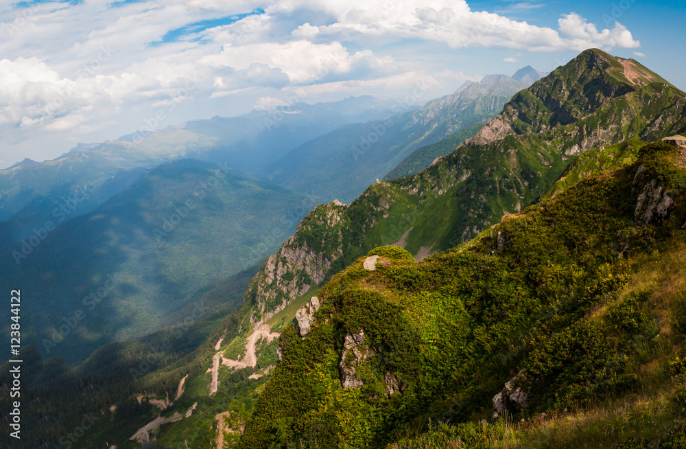 Obraz premium Rose Pick View