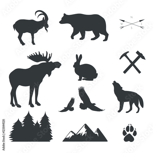 set of animals,wild beasts, vactor