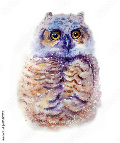 Cute Owl. Watercolor Owl. Owl Tee Shirt illustration. Ethnic background. Watercolor bird