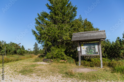 Informationstafel am Eingang vom Bannwald des Wildsee; Nationalpark Schwarzwald, Sommer