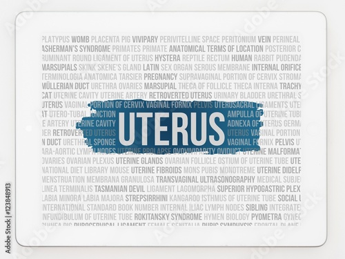 uterus