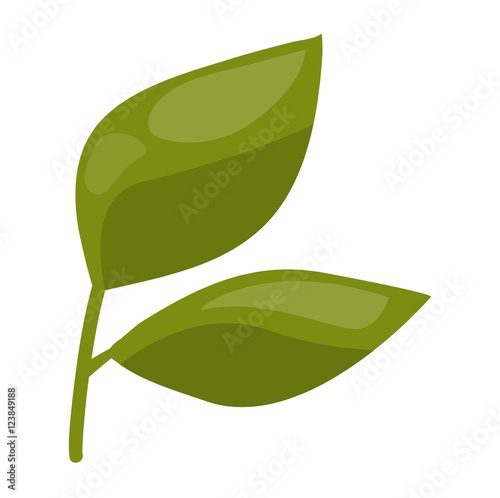 Leaf icon vector illustration.