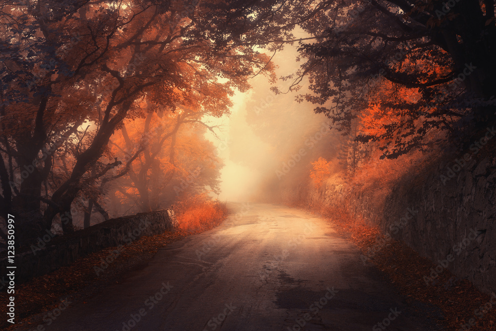 Fototapeta premium Mistyczny jesień czerwony las z drogą w mgle. Spadek mglisty las. Kolorowy krajobraz z drzewami, wiejską drogą, pomarańczowymi i czerwonymi liśćmi i żółtą mgłą. Podróżować. Jesienne tło. Magiczny ciemny las. Bajka