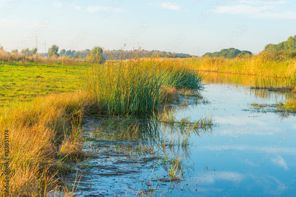 Shore of a lake at sunrise in autumn Shore of a lake at sunrise in autumn