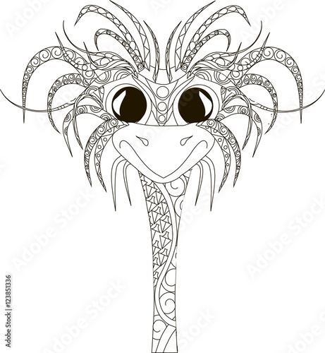 Zentangl ostrich head, thin black line on white, coloring page anti stress, vector illustration photo