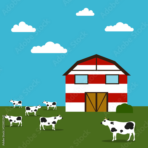 Farmhouse Vector illustration Red-white barn in a field and grazing cows