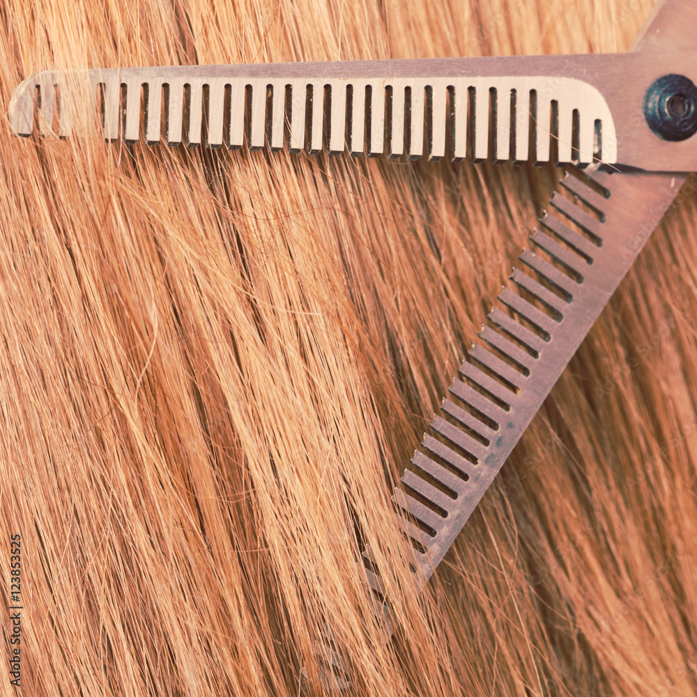 Obraz premium Close up detail. Special scissors cutting hair.