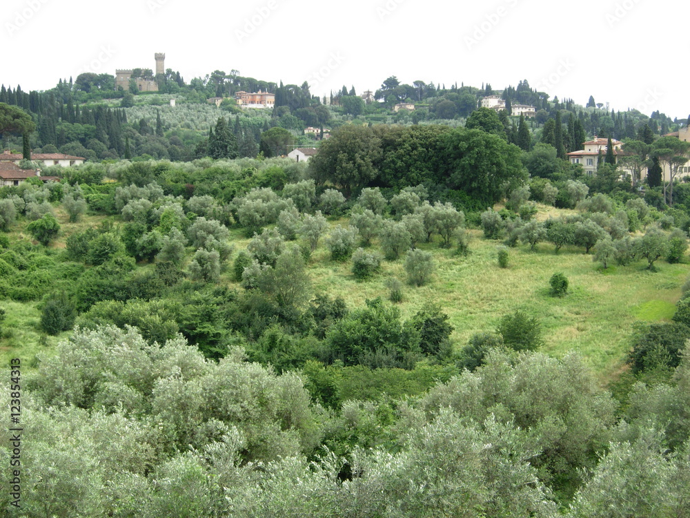 緑の風景（イタリア）