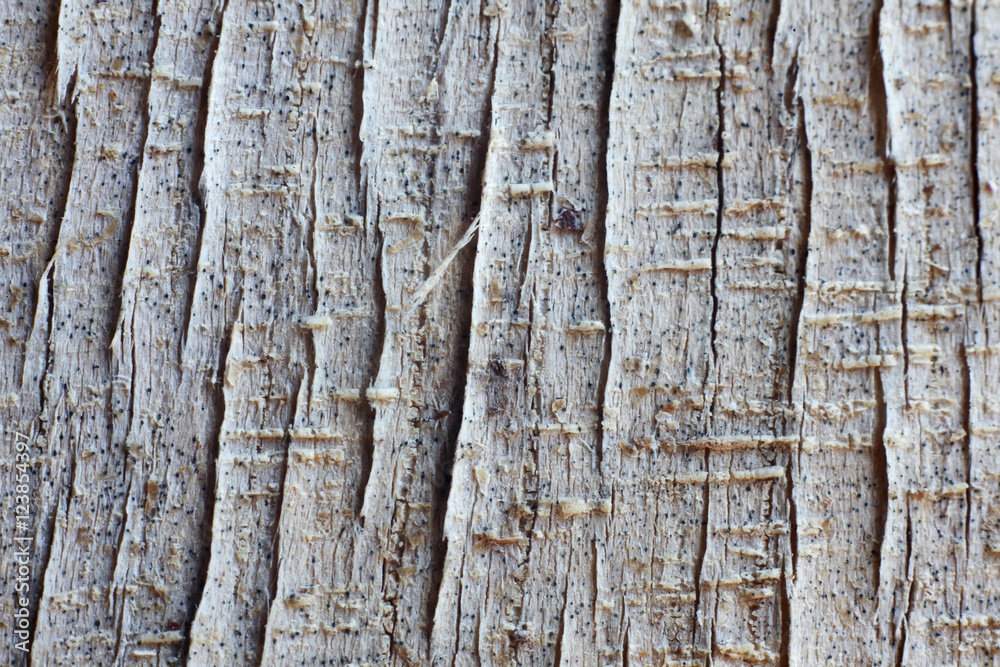 weathered crack wooden panel as background. weathered crack wooden panel as background.