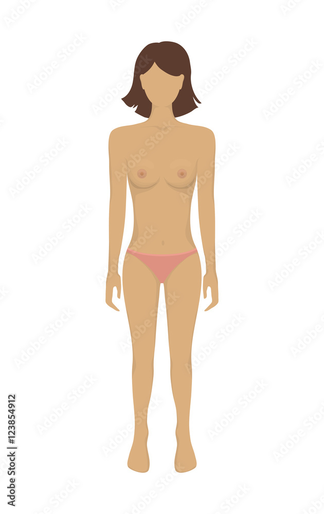 Vector female body in underwear. Vector female body in underwear.